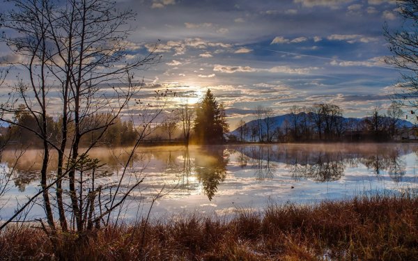 Весенняя природа