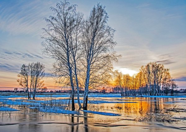 Весенний пейзаж