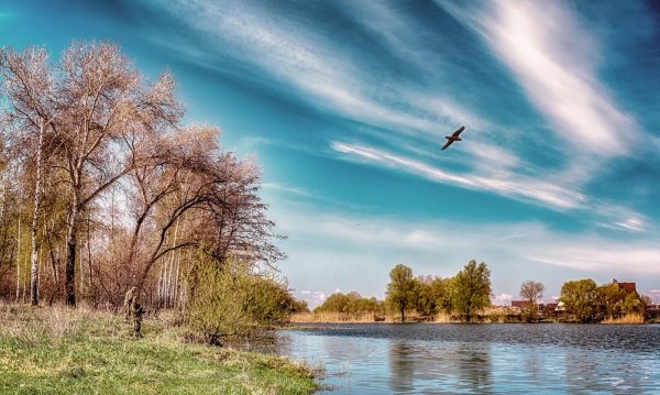 Поздняя Весна