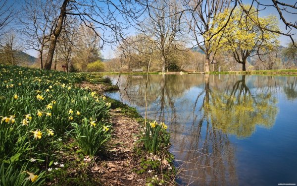 Березовый мост Сатка