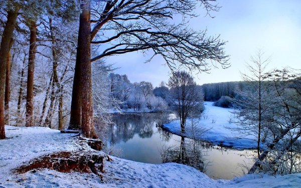 Весенний лес в Сибири