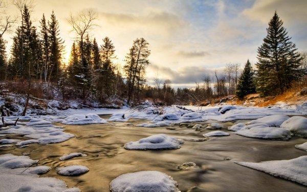 Рассвет весной