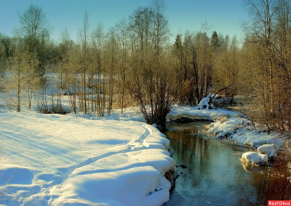 Весенняя природа