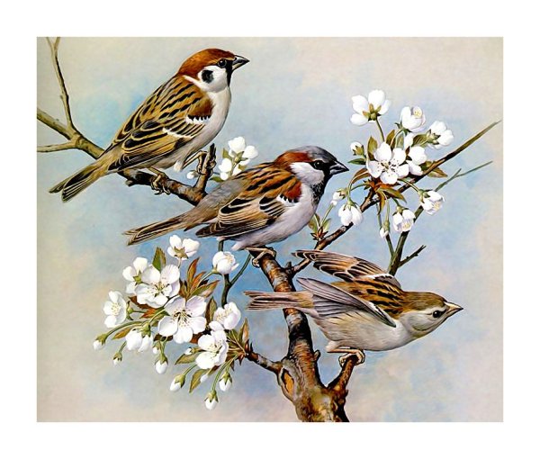 Птица поёт в живописи