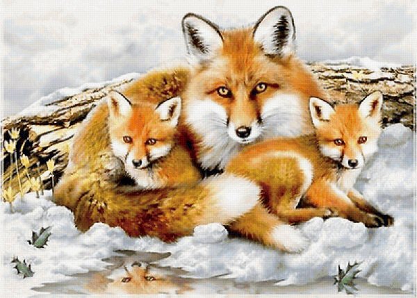 Картина лиса с лисятами