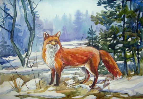 Весенняя лиса рисунок