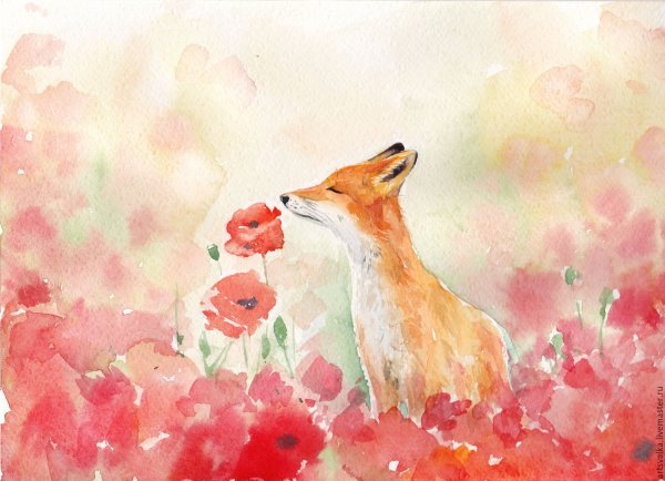 Художник Сью Уорнер Sue Warner