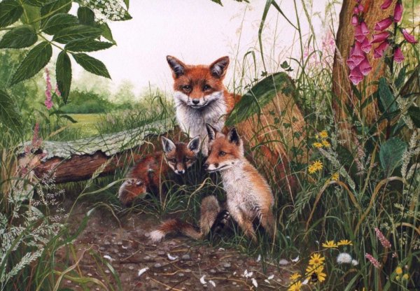 Ал.Агнев художник-анималист