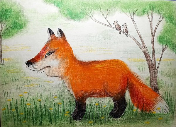 Зарисовки диких животных