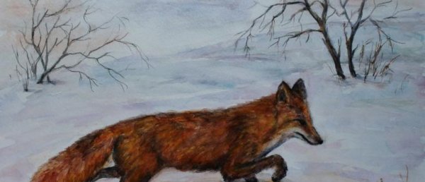 Природа России животные