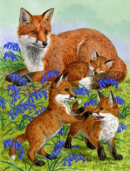 Лисья Нора в лесу