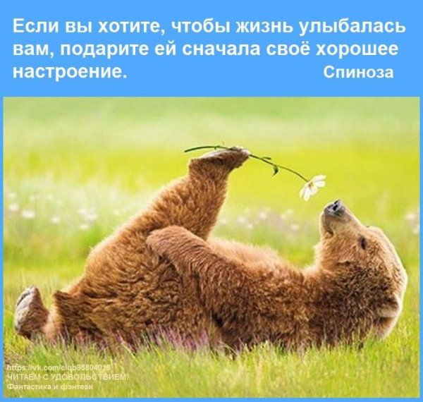 Счастье это умение радоваться простым вещам