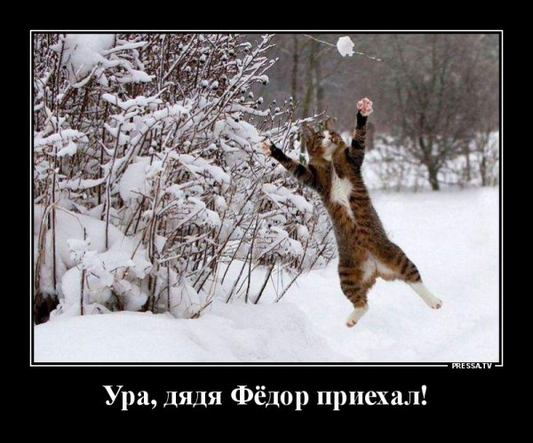 Весенний привет открытки