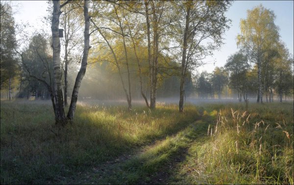 Ранняя осень в деревне