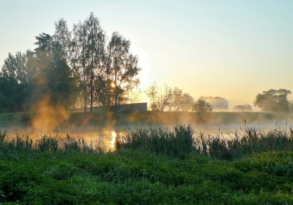 Утренний туман