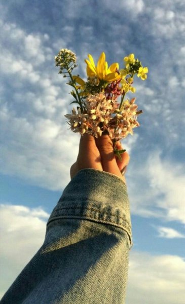 Цветочек в руке на фоне неба