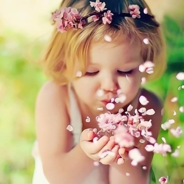 Алмазная мозаика Лавандовое поле 40х50