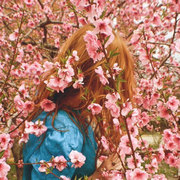 Белые тюльпаны в руках