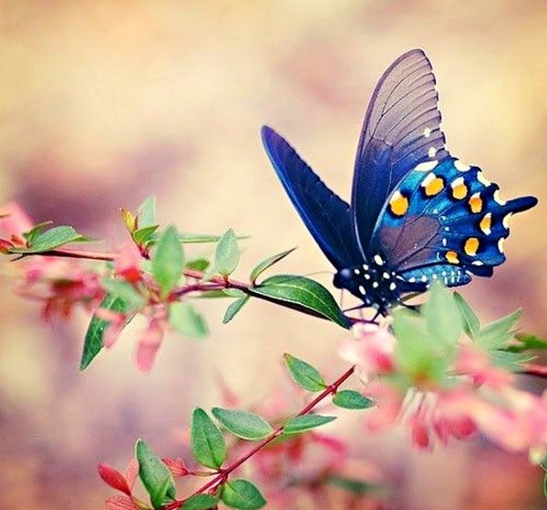 Девушка зимой с букетом цветов