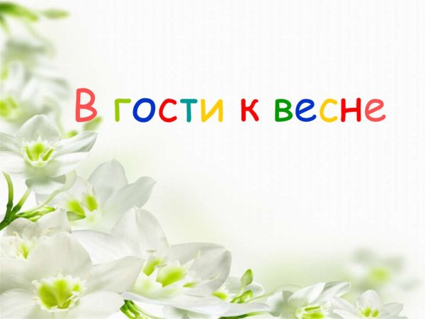 В гости к весне