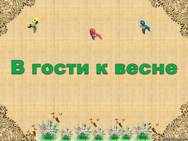 В гости к весне