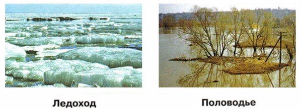 Весна спешит