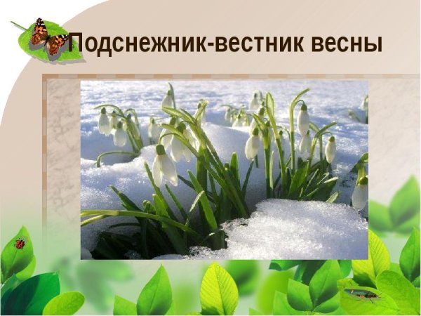 Тема недели Весна красна