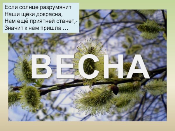 Весна идёт весне дорогу