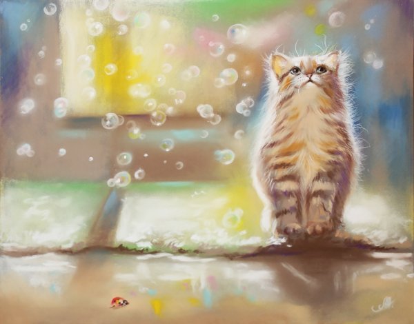 Котик счастья