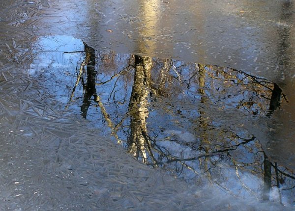 Ранняя Весна лужи
