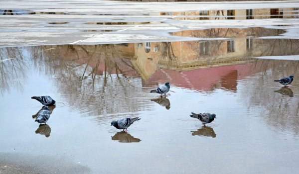 Ранняя Весна в городе