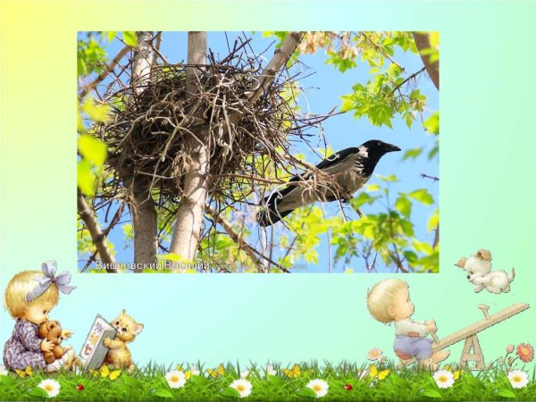 Птица иллюстрация