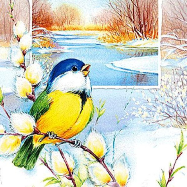 Птицы прилетели