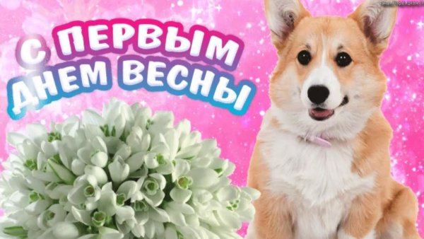 Ура первый день весны