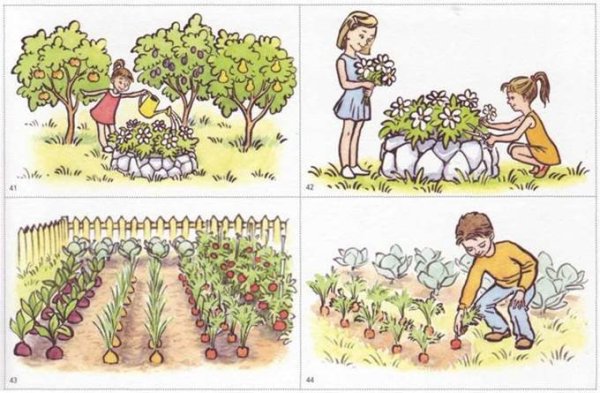 Серия сюжетных картинок в саду