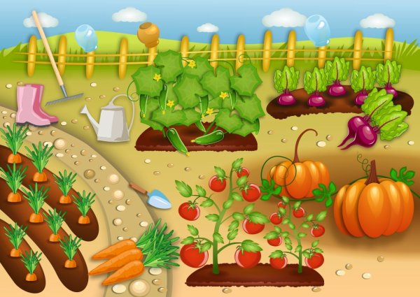 Нарисовать огород