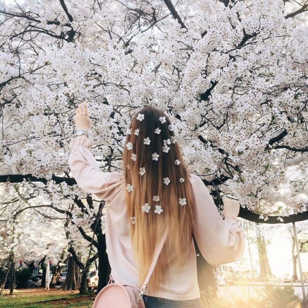 Весна девушка со спины