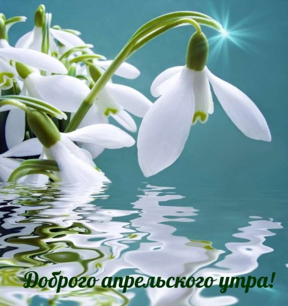 Открытка «Весна»