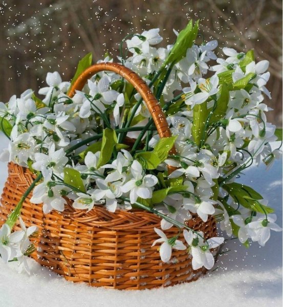 Букет подснежников