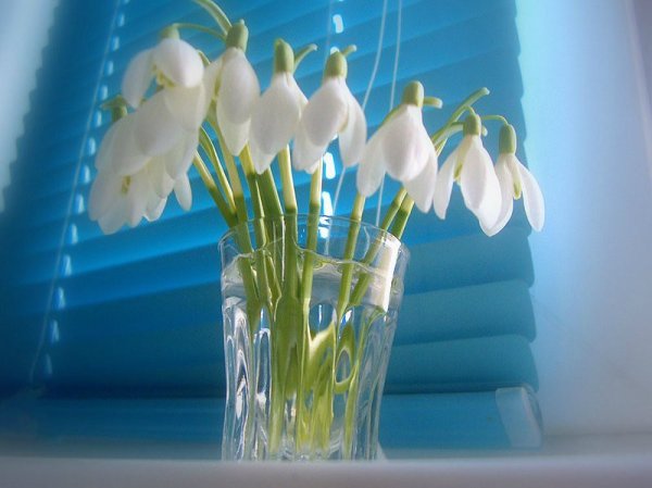 Доброе Весеннее утро