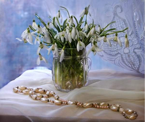 Верба и подснежники