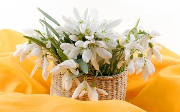 Утро Весна подснежники