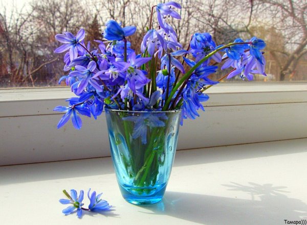 С первым днем весны