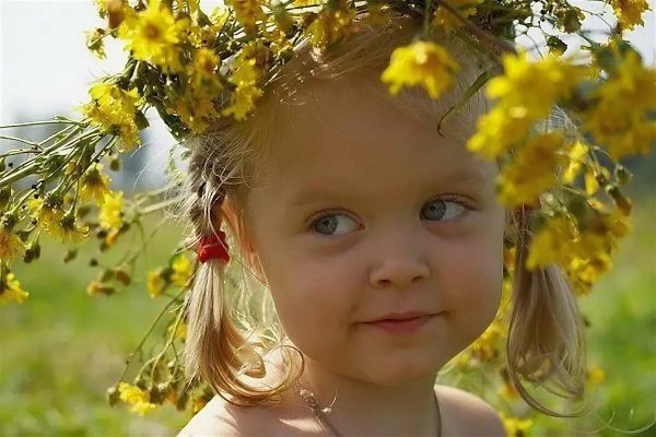 Сирень анимация