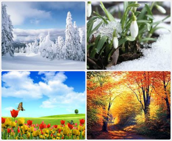 Четыре времени года