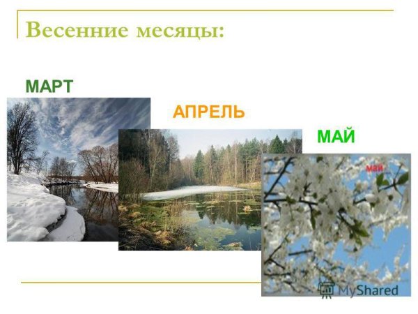 Весенние месяцы