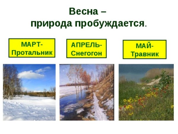 Май для презентации