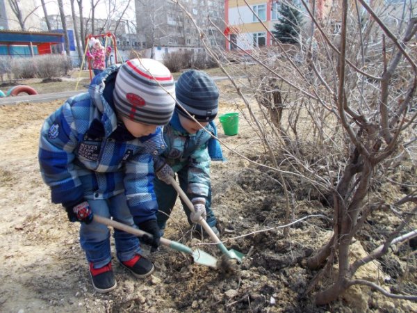 Осенний труд
