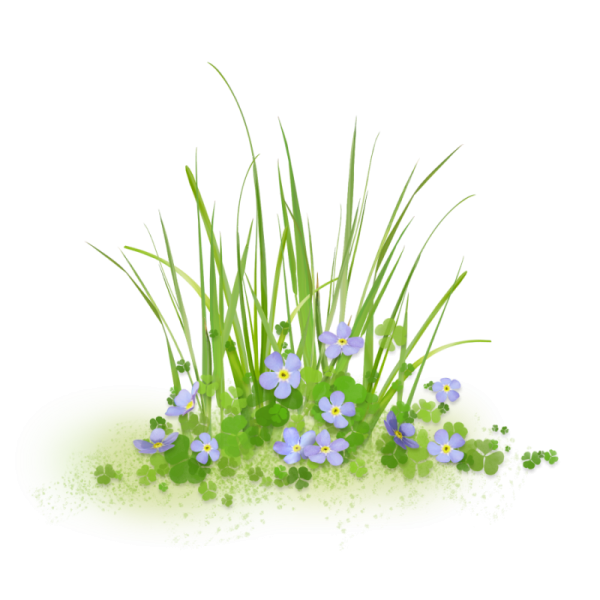 Зеленая трава