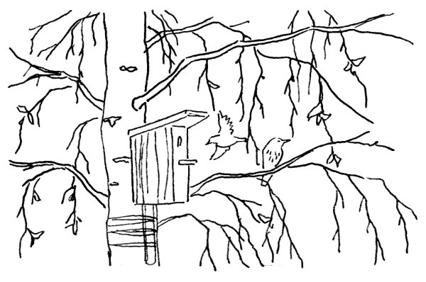 Весенние раскраски для малышей